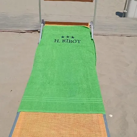 Ribot Otel 3*